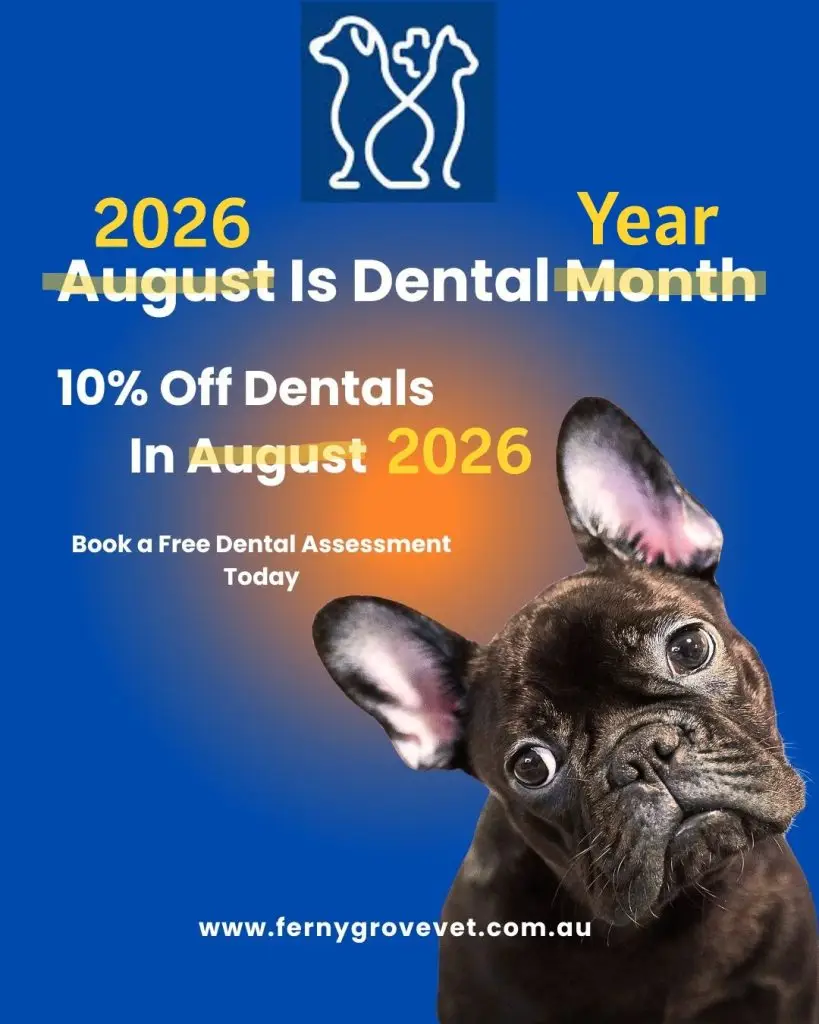 Dental Advert